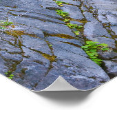 Christine Herfsten Schilderachtig Poster (Hoek)