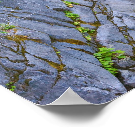 Christine Herfsten Schilderachtig Poster (Hoek)