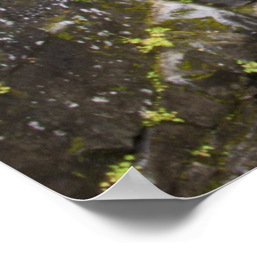 Christine Waterfall HDR. Afdrukken met scripts Ver Poster (Hoek)