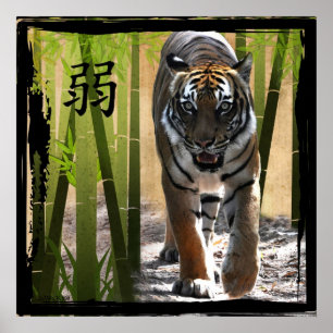 Christin's Sterkte Poster