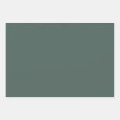 Christmas Alligator Pelican Crawfish Goose Animal Inpakpapier Vel (Voorkant 3)