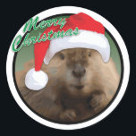 Christmas Beaver - Classic ronde Sticker, glanzend Ronde Sticker<br><div class="desc">Christmas Beaver - Classic ronde Sticker,  glanzend. Er staat geschreven: "Vrolijk kerstfeest". Vrolijk kerstfeest voor iedereen!</div>