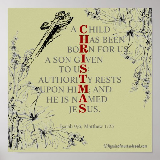 CHRISTMAS betekenis Poster (Voorkant)