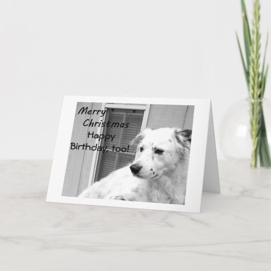 CHRISTMAS BIRTHDAY WISHEERT WEL FEESTDAGEN KAART (Voorkant)