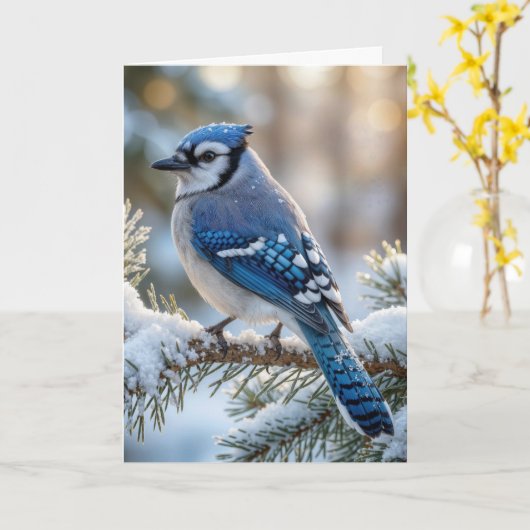 Christmas Blue Jay On a Snowy Pine Kaart (Gele Bloem)