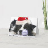 Christmas Border Collie Feestdagen Kaart (Achterkant)