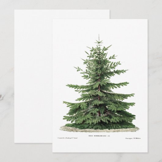 Christmas Botanical Pine Tree Wenskaart Feestdagenkaart (Voorkant / Achterkant)