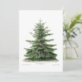 Christmas Botanical Pine Tree Wenskaart Feestdagenkaart (Staand voorkant)