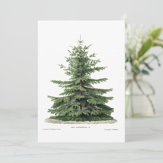 Christmas Botanical Pine Tree Wenskaart Feestdagenkaart (Staand voorkant)