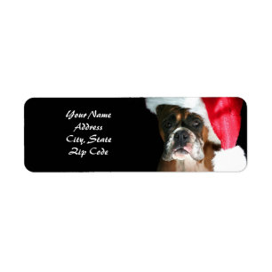 Christmas Boxer Dog Adresetiketten Etiket