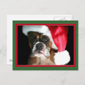 Christmas Boxer Dog briefkaart (Voorkant / Achterkant)