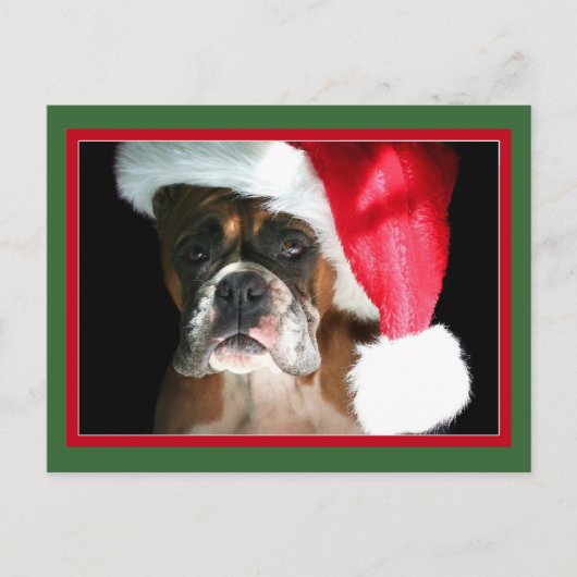 Christmas Boxer Dog briefkaart (Voorkant)