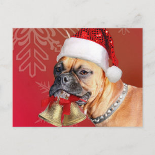 Christmas Boxer hond Feestdagenkaart