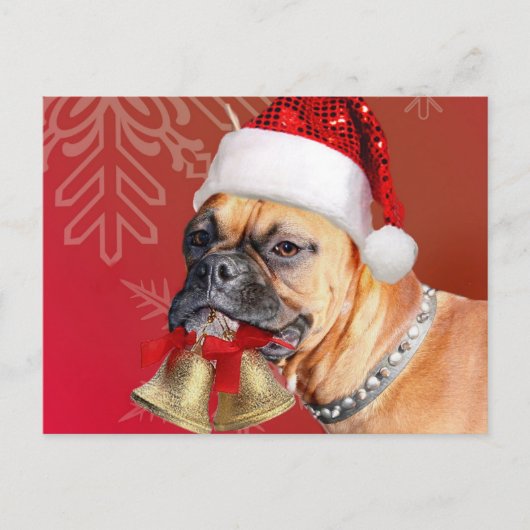 Christmas Boxer hond Feestdagenkaart (Voorkant)
