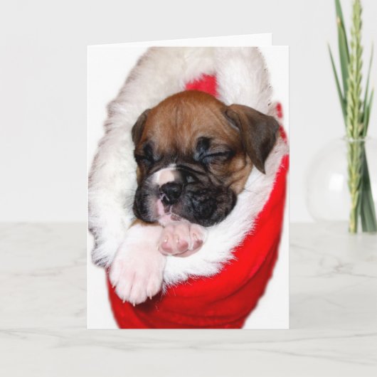 Christmas boxer puppy wenskaart feestdagen kaart (Voorkant)
