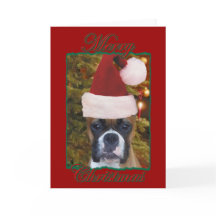 Christmas boxer wenskaart