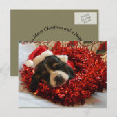 Christmas Briefkaart Basset Hound (Voorkant / Achterkant)