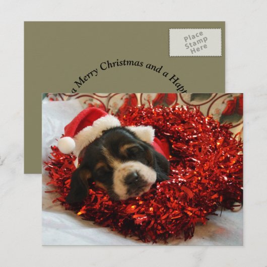 Christmas Briefkaart Basset Hound (Voorkant / Achterkant)