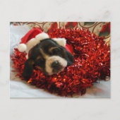 Christmas Briefkaart Basset Hound (Voorkant)