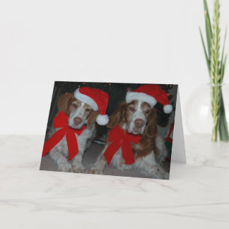 CHRISTMAS BRITTANYS FEESTDAGEN KAART