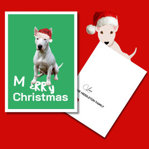 Christmas Bull Terrier Hond Vrolijk Wenskaart