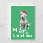 Christmas Bull Terrier Hond Vrolijk Wenskaart (Voorkant)