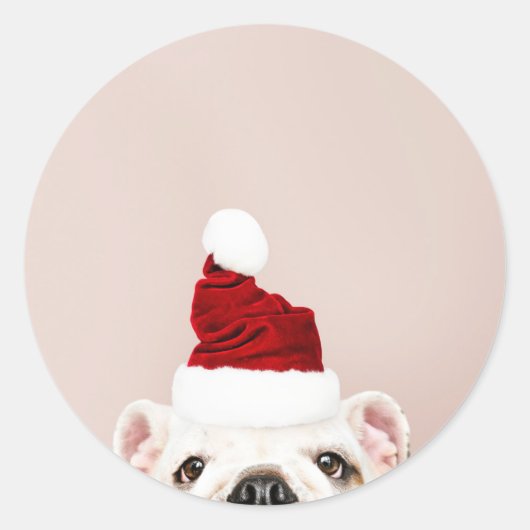 CHRISTMAS BULLDOG STICKER (Voorkant)