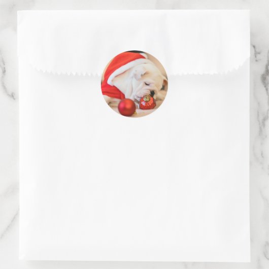 CHRISTMAS BULLDOG STICKERS (Tas)