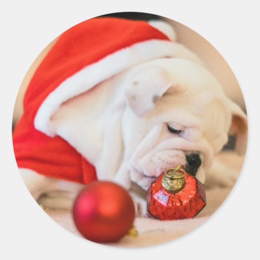 CHRISTMAS BULLDOG STICKERS (Voorkant)