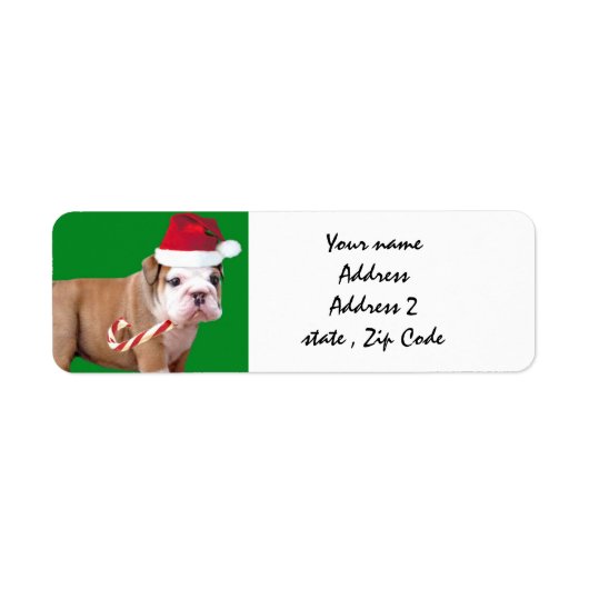 Christmas Bulldog verzendlabels Etiket (Voorkant)