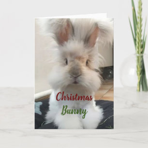 **CHRISTMAS BUNNY VOOR MIJN HONING" FEESTDAGEN KAART