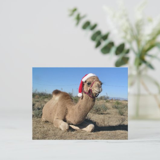Christmas camel briefkaart (Staand voorkant)