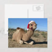 Christmas camel briefkaart (Voorkant / Achterkant)