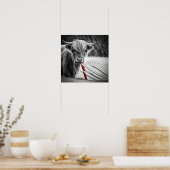 Christmas Candy Cane Critters Highland Koe Poster (Keuken)