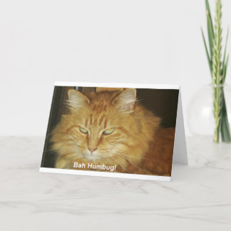 Christmas Card Bah Humbug Feestdagen Kaart