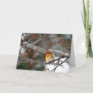 Christmas Card - Cardinal with Snowflakes Feestdagen Kaart