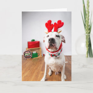 Christmas Card Kaart