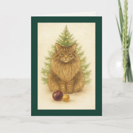 Christmas Card – Maine Coon Cat Feestdagen Kaart