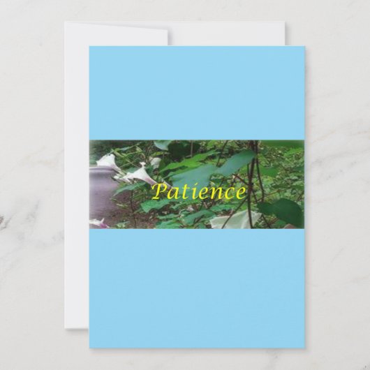 Christmas card patience feestdagenkaart (Voorkant)