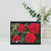 Christmas card：Rosa Kardinal Feestdagenkaart (Staand voorkant)
