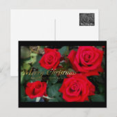 Christmas card：Rosa Kardinal Feestdagenkaart (Voorkant / Achterkant)