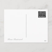 Christmas card：Rosa Kardinal Feestdagenkaart (Achterkant)