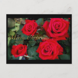 Christmas card：Rosa Kardinal Feestdagenkaart