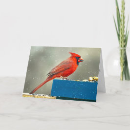 Christmas Cardinal Christmas Card Feestdagen Kaart
