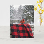 Christmas Cardinal On a Buffalo Plaid Blanket Kaart (Gele Bloem)