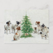 Christmas | Carl Reichert Briefkaart (Voorkant)