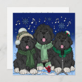 Christmas Carol zingt puppy's uit Newfoundland Feestdagenkaart (Voorkant / Achterkant)