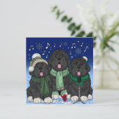 Christmas Carol zingt puppy's uit Newfoundland Feestdagenkaart (Staand voorkant)