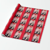 CHRISTMAS CAT ABRAHAM LINCOLN CATS WRAPPING PAPER CADEAUPAPIER (Uitgerold)