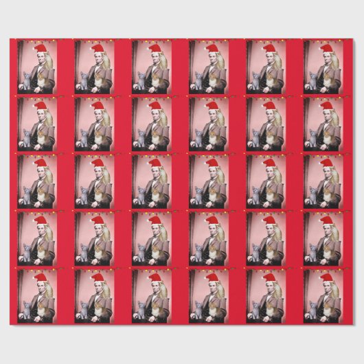 CHRISTMAS CAT ABRAHAM LINCOLN CATS WRAPPING PAPER CADEAUPAPIER (Vlak)